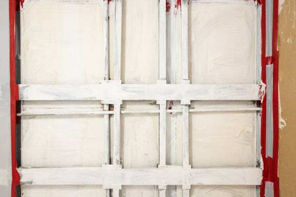 Environmental Consulting for Mold Prevention in Highlands, NC