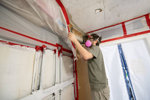 Best Crawl Space Mold Remediation  in Highlands, NC