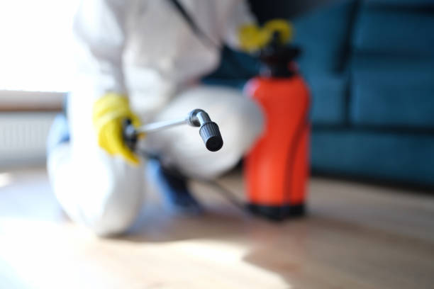 Best Water Damage & Mold Remediation  in Highlands, NC