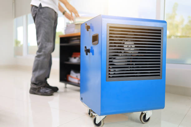 Best Biohazard Mold Removal  in Highlands, NC